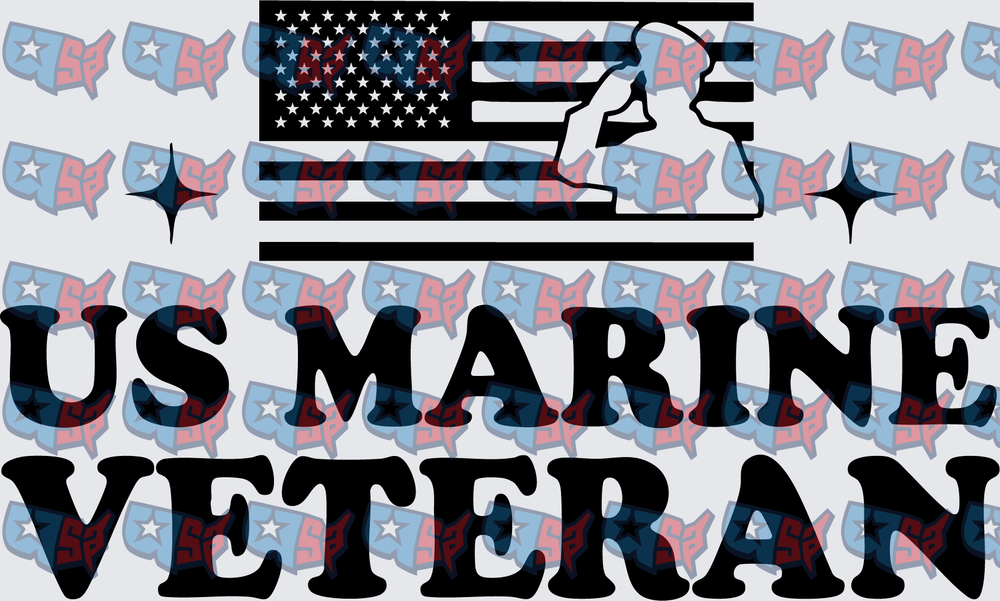 US Marine Veteran Saluting Soldier American Flag (DTF)