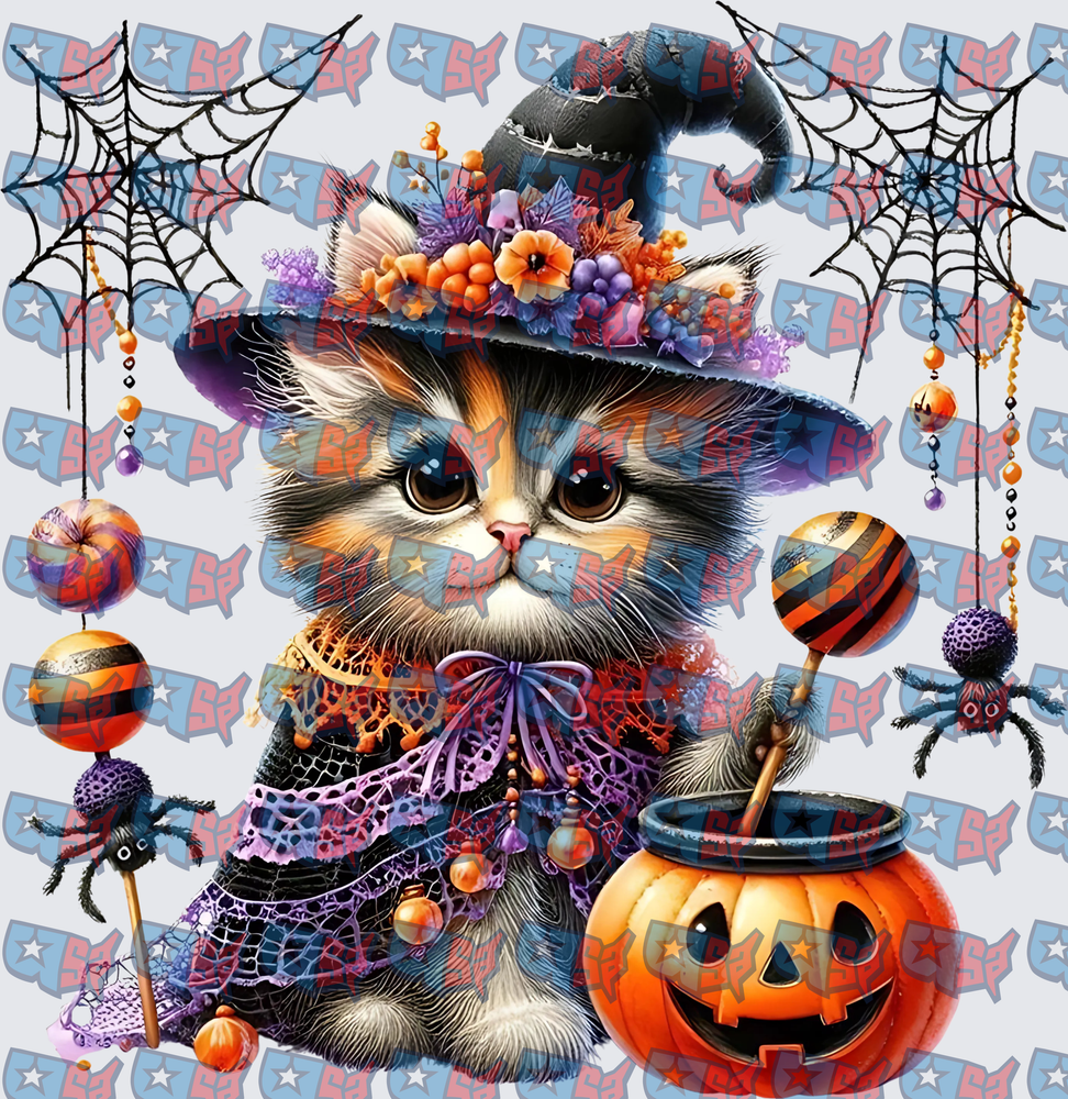 Halloween Witch Kitten With Pumpkin Cauldron Spider Webs (DTF)