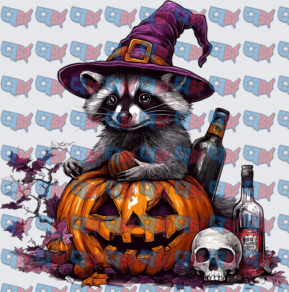 Witch Hat Raccoon Halloween Jack-O-Lantern Skull (DTF)
