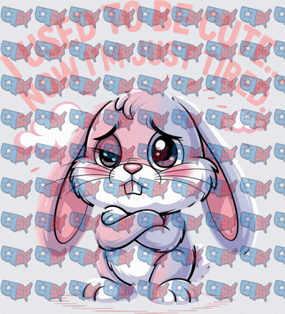 Grumpy Bunny I Used To Be Cute Now I'm Just Tired (DTF)