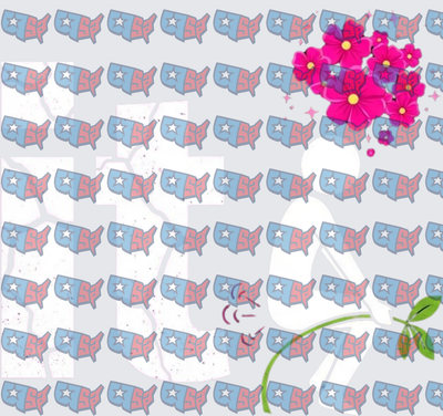 USA Map Pattern with Anime Girl Floral Bouquet (DTF)