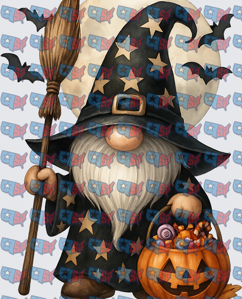 Halloween Witch Gnome With Broom And Pumpkin (DTF)