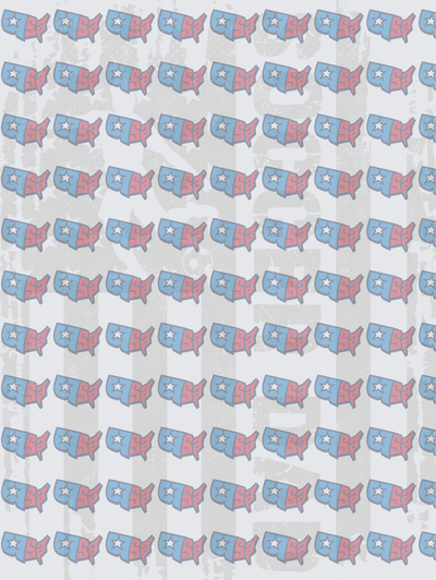 Patriotic USA Map Star Pattern Repeat (DTF)