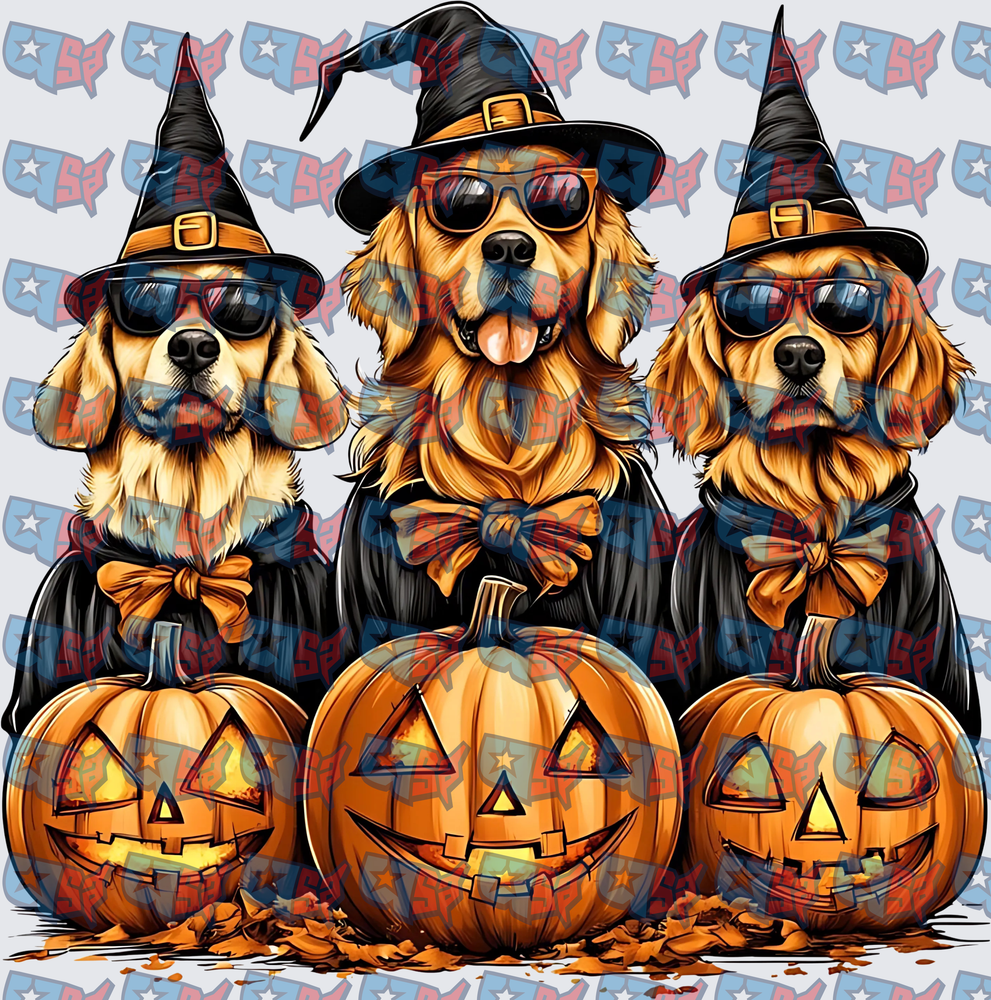 Three Halloween Golden Retrievers Witch Hats Jack-o-Lanterns (DTF)