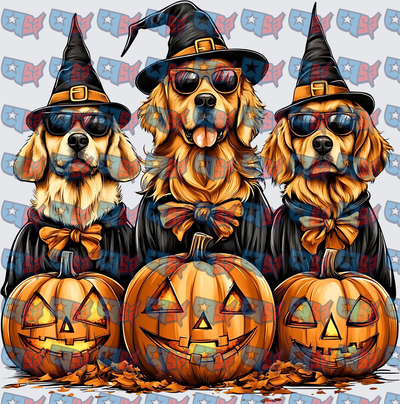 Three Halloween Golden Retrievers Witch Hats Jack-o-Lanterns (DTF)