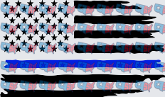 Thin Blue Line Distressed American Flag (DTF)