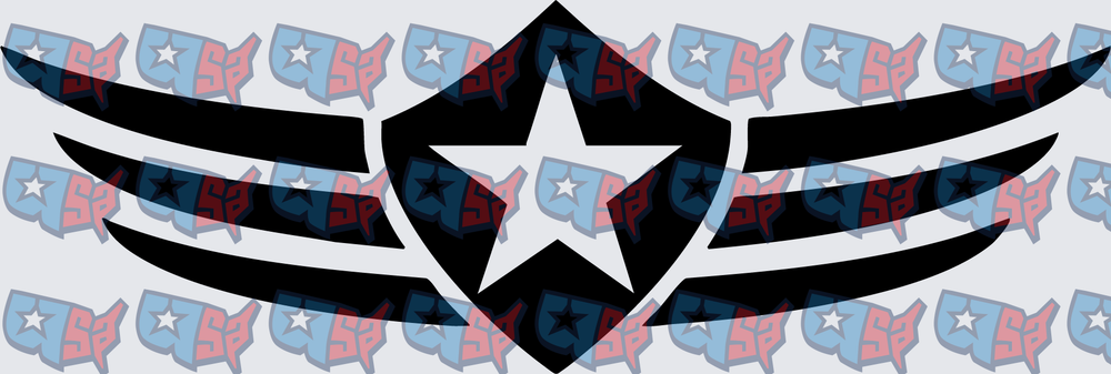 Military Star Shield Wings Emblem (DTF)