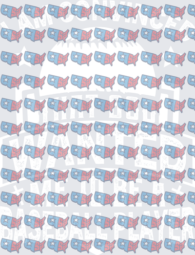 I Am Convinced God Wanted Me To Be A Baseball Player USA Map Pattern (DTF)