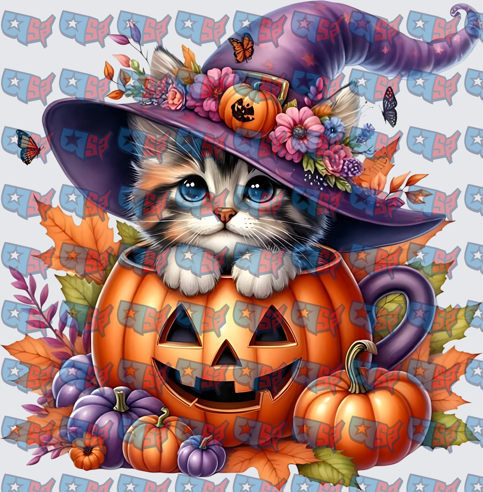 Witch Hat Kitten Sitting In Halloween Jack-O-Lantern (DTF)
