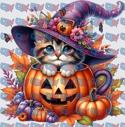 Witch Hat Kitten Sitting In Halloween Jack-O-Lantern (DTF)