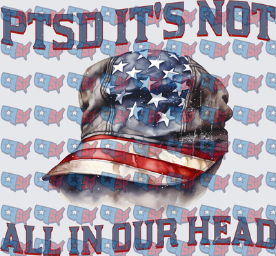 PTSD It's Not All In Our Head American Flag Military Cap (DTF)