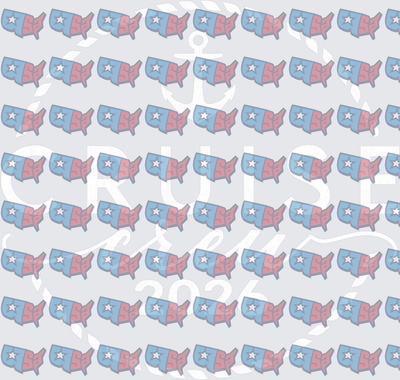 USA Map Pattern Cruise 2026 Anchor Design (DTF)