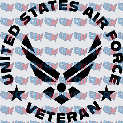 United States Air Force Veteran Wings Emblem (DTF)