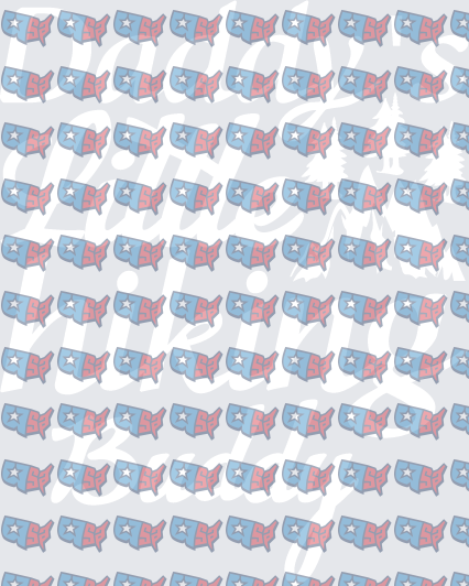 Patriotic USA Map Pattern Red White Blue (DTF)