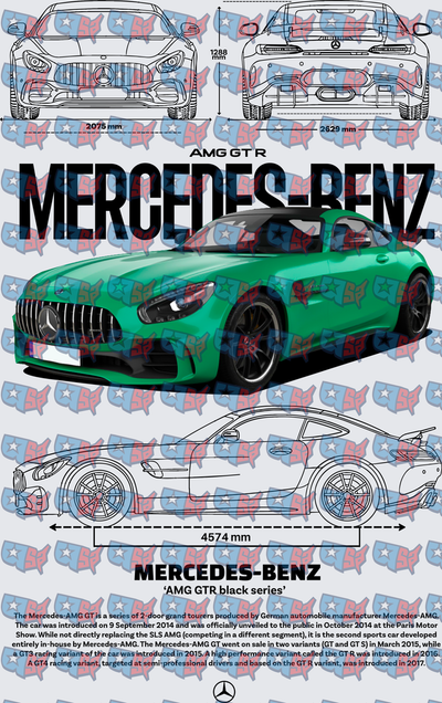 Mercedes-AMG GT R Green Blueprint Technical Diagram (DTF)
