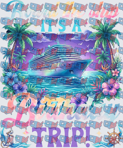 Board The Ship It's A Birthday Trip Cruise Design (DTF)