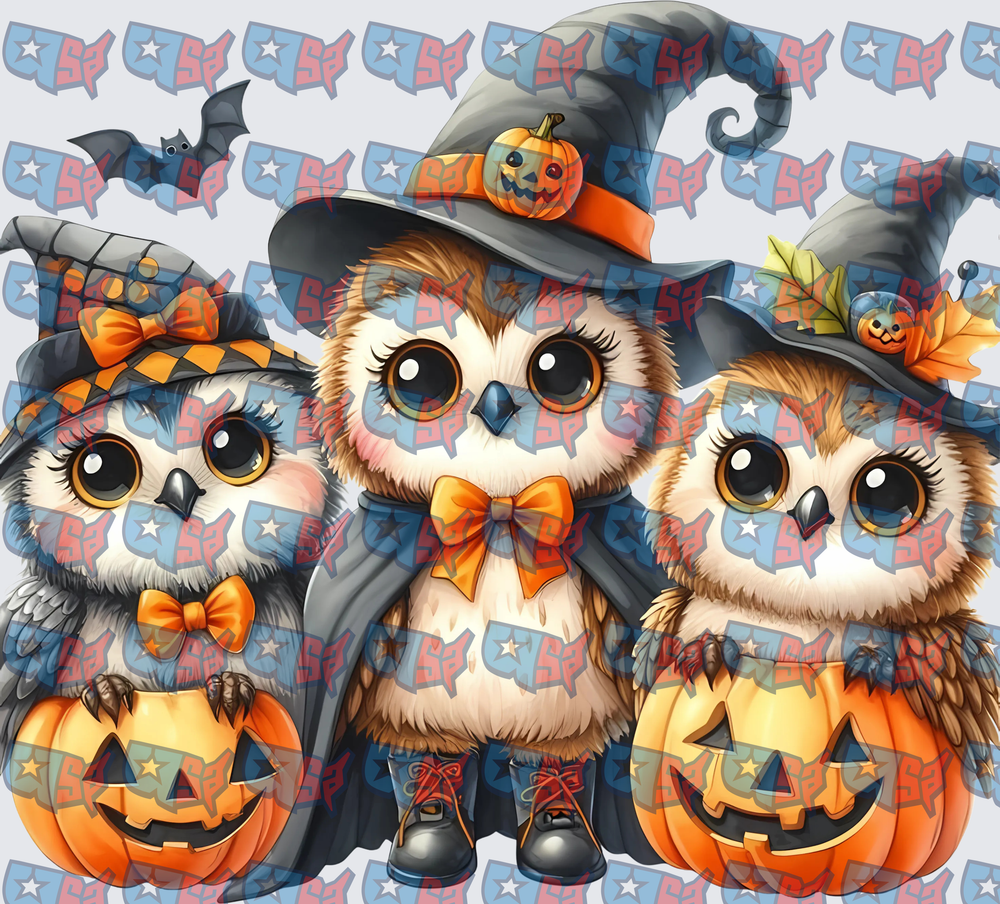 Cute Halloween Owls Witch Hats Jack-O-Lanterns (DTF)
