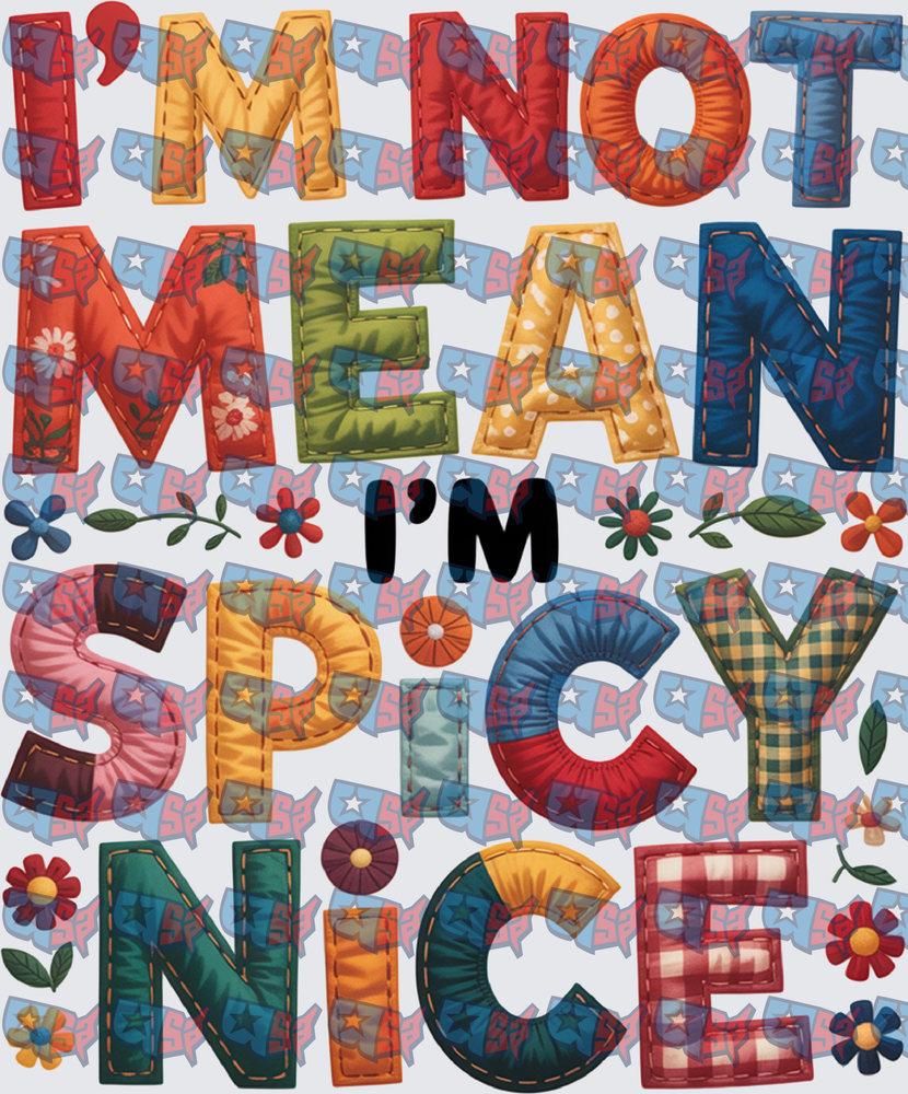 I'm Not Mean I'm Spicy Nice Patchwork Letters (DTF)