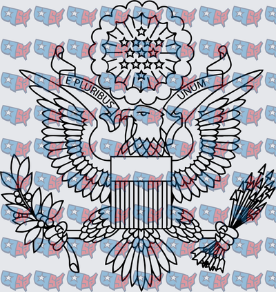 E Pluribus Unum Bald Eagle Great Seal Outline (DTF)