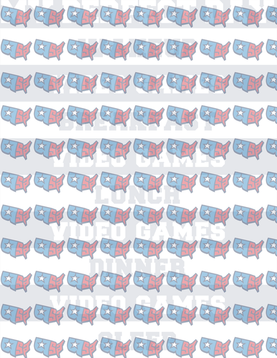 Patriotic USA Map Daily Schedule Repeat Pattern (DTF)