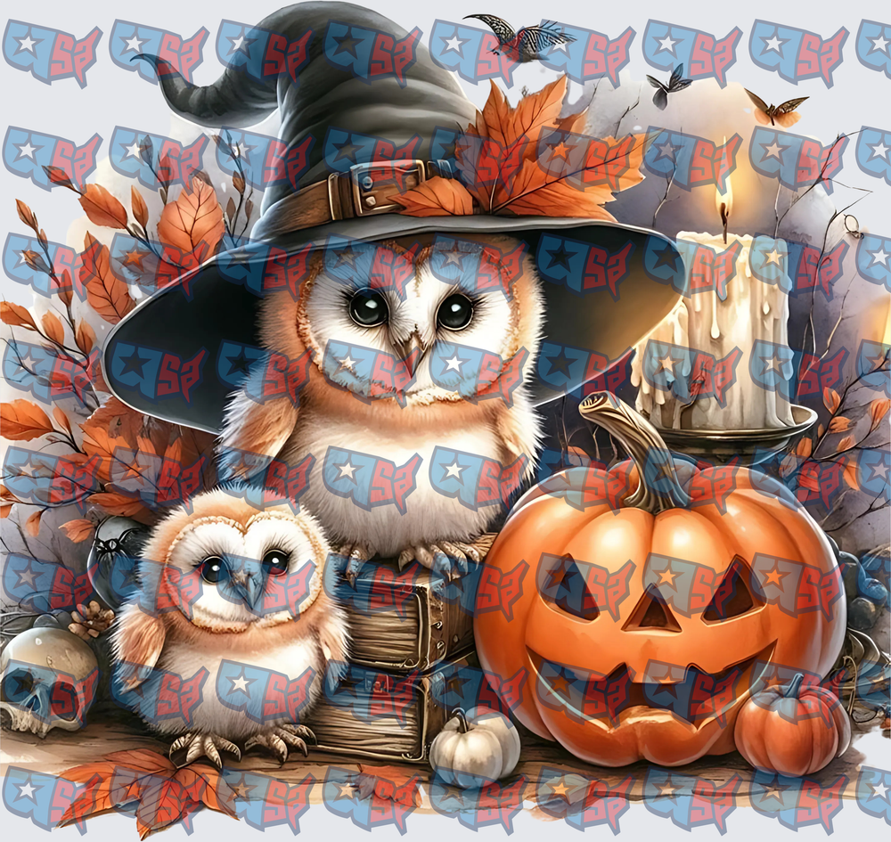 Witch Hat Owls Halloween Pumpkin Candle Scene (DTF)