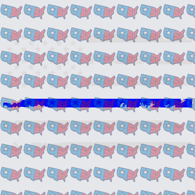 USA Map Thin Blue Line Patriotic Repeat Pattern (DTF)