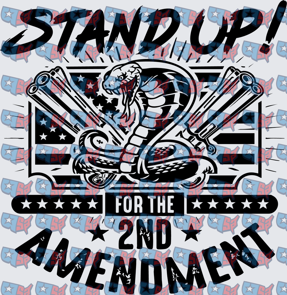 Stand Up For The 2nd Amendment Cobra Guns Flag (DTF)