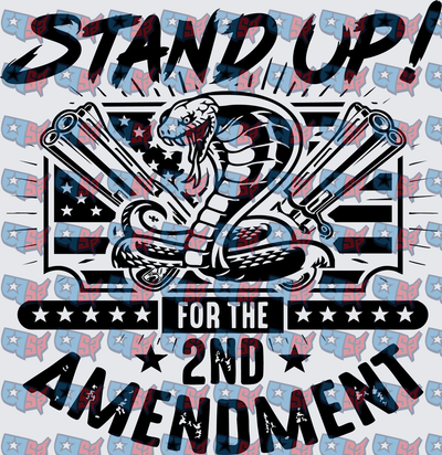 Stand Up For The 2nd Amendment Cobra Guns Flag (DTF)