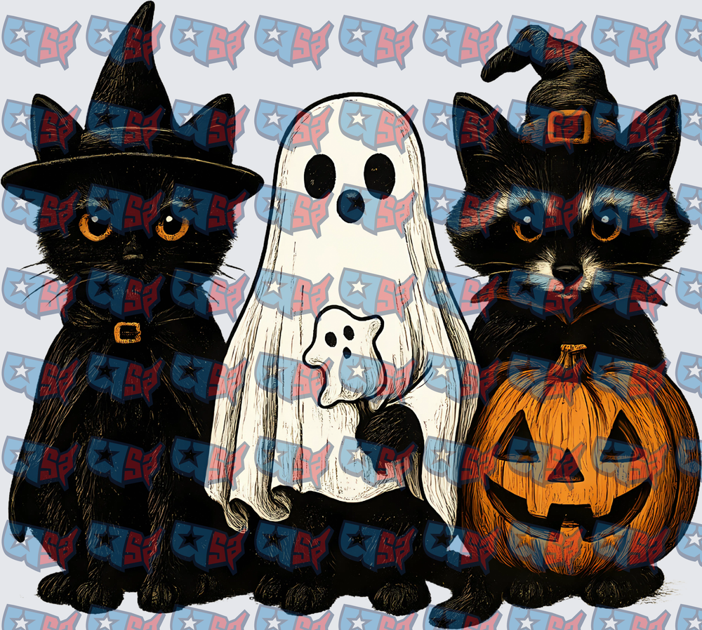 Halloween Black Cat Ghost Raccoon Witch Pumpkin Trio (DTF)