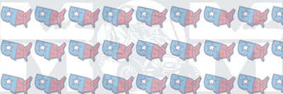USA Map Star Patriotic Red White Blue Logo (DTF)