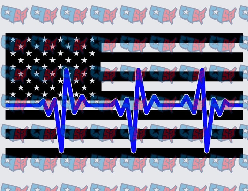 Thin Blue Line Flag Heartbeat Pulse American Flag (DTF)