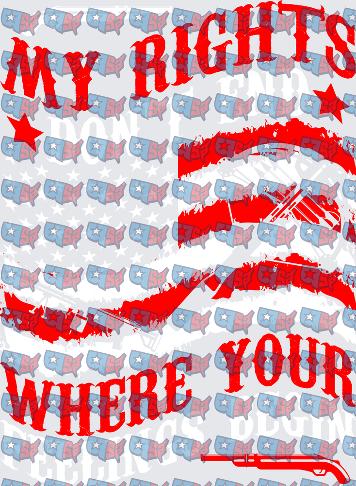 My Rights Don't End Where Your Feelings Begin Patriotic Gun Flag (DTF)