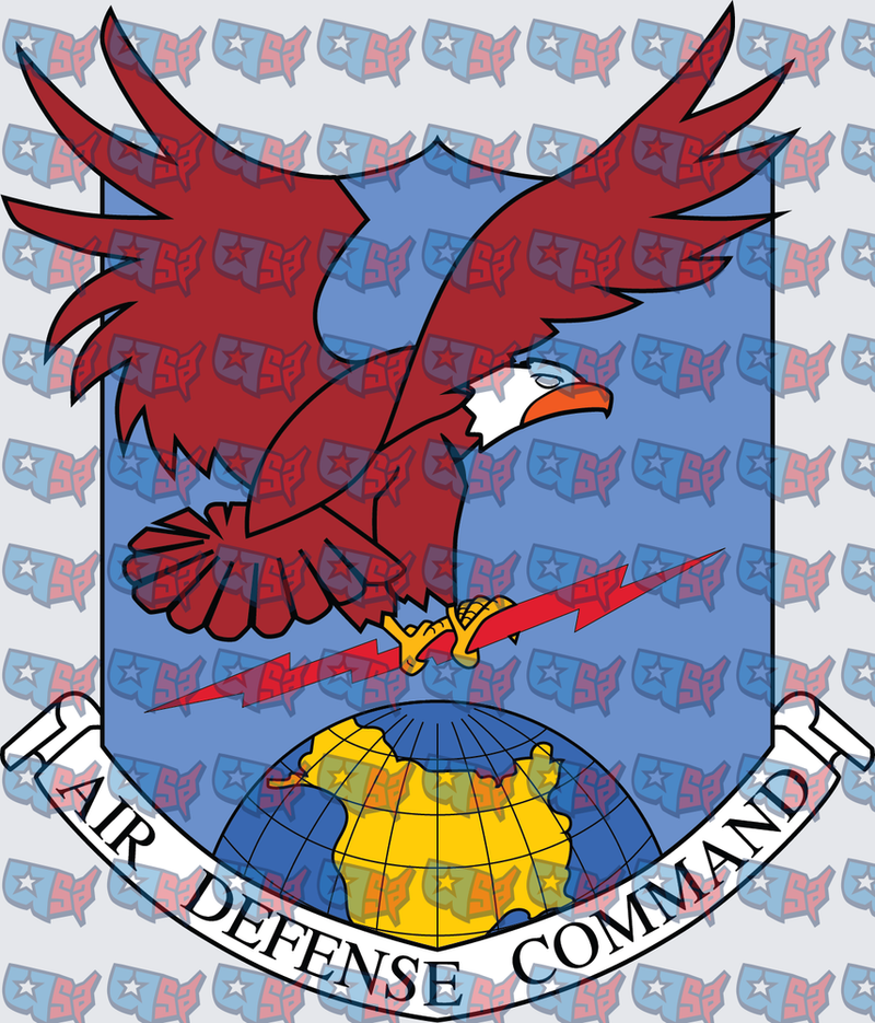 Air Defense Command Eagle Shield Insignia (DTF)