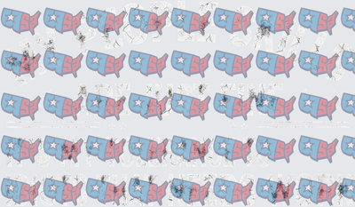 Patriotic USA Map Star Repeat Pattern Blue Pink (DTF)