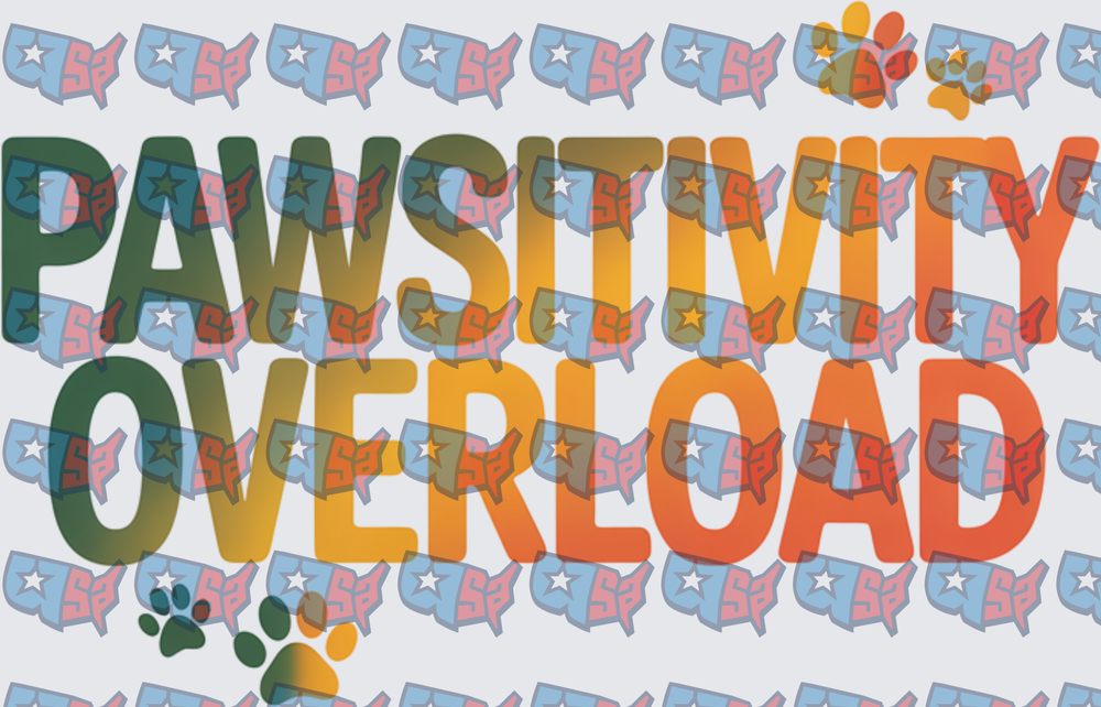 Pawsitivity Overload Gradient Text With Paw Prints (DTF)
