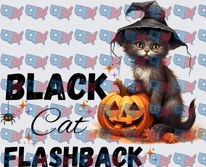 Black Cat Flashback Halloween Witch Hat Pumpkin (DTF)