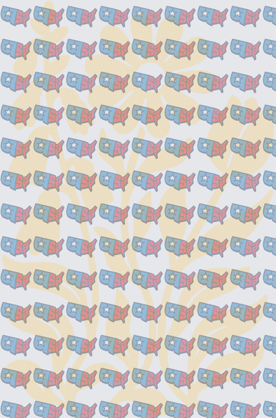 Retro USA Map Pattern with Stars (DTF)