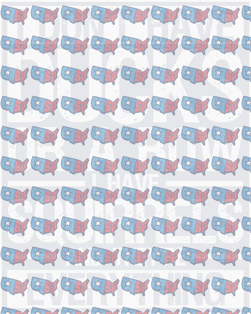 I Don't Have Bucks USA Map Squirrels Everything Distressed (DTF)