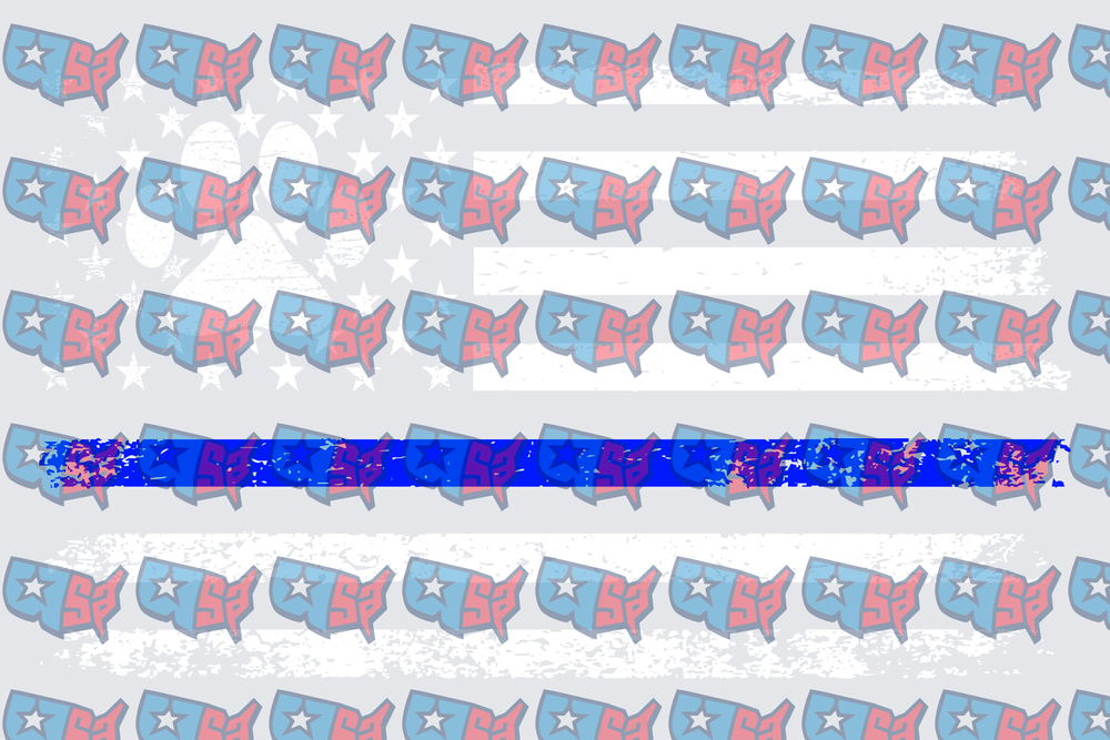 Thin Blue Line USA Map Flag Pattern (DTF)