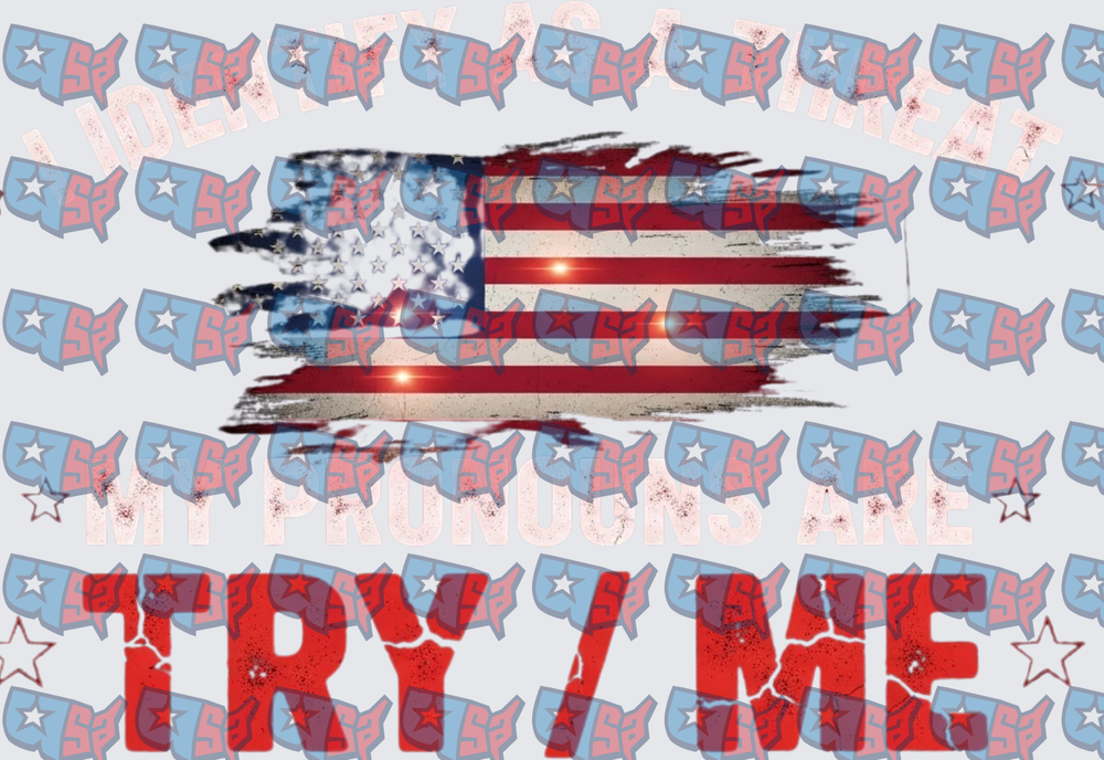 Distressed American Flag My Pronouns Are Try Me (DTF)