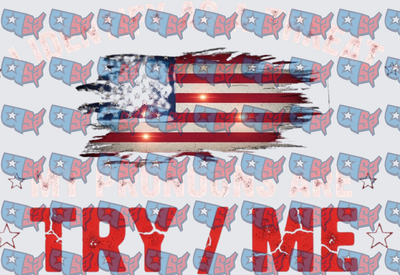Distressed American Flag My Pronouns Are Try Me (DTF)