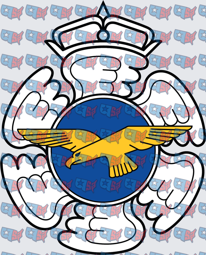 Winged Eagle Crown Military Emblem Badge (DTF)
