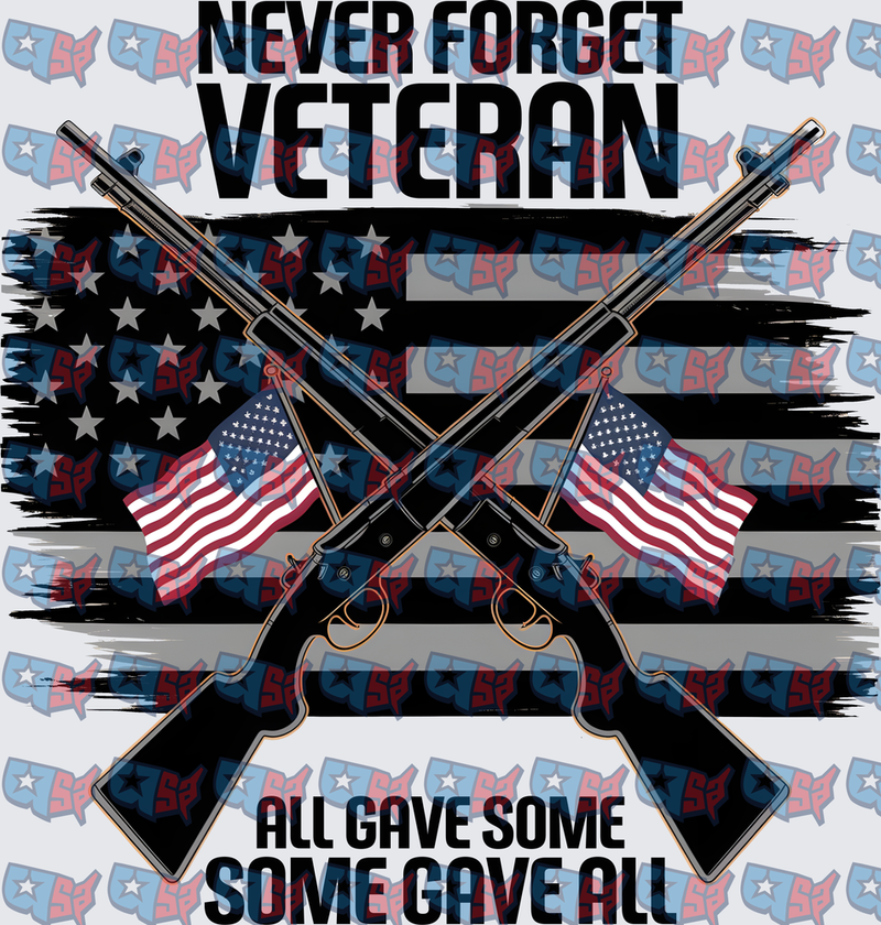 Never Forget Veteran All Gave Some Some Gave All (DTF)
