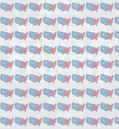 Sorry I Wasn't Listening USA Patriotic Pattern (DTF)