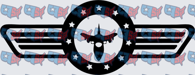 Military Fighter Jet Wings Badge Stars Emblem (DTF)