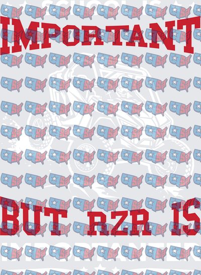 School Is Important But RZR Is More Important UTV (DTF)