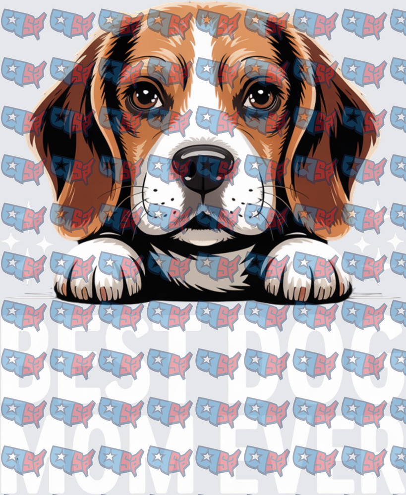 Peeking Beagle Best Dog Mom Ever (DTF)
