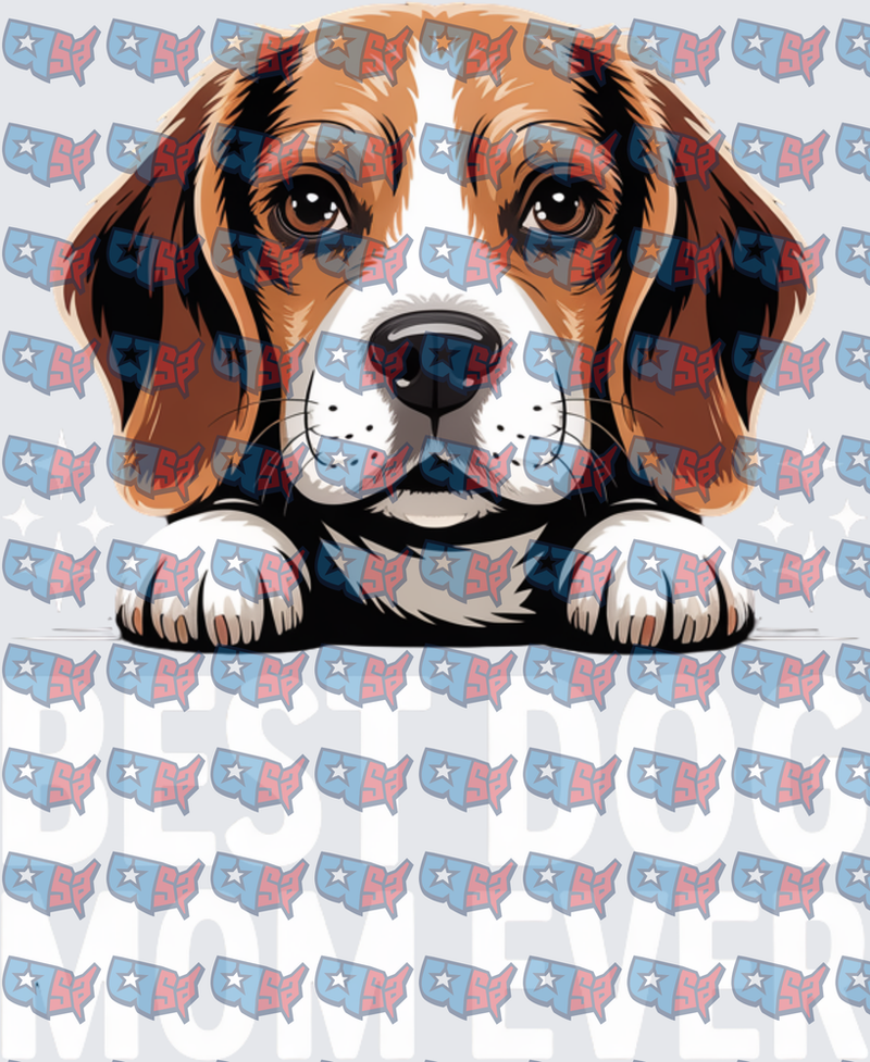 Peeking Beagle Best Dog Mom Ever (DTF)