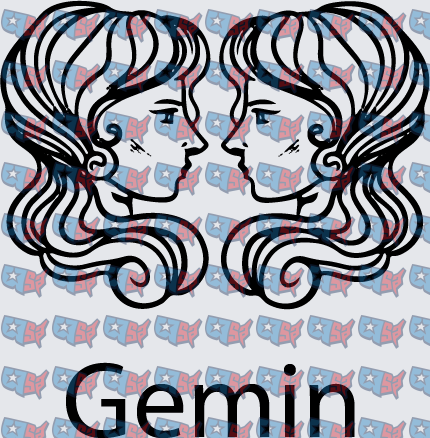 Gemini Zodiac Twin Women Face to Face (DTF)