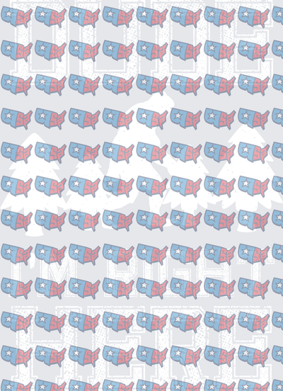 USA Map Pattern Blue Ridge Mountains Varsity Letters (DTF)